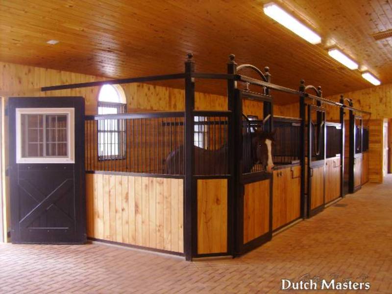 horse barn kitchener